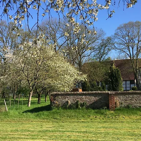 فندق مبيت وإفطار Gaestehaus Schinna Stolzenau